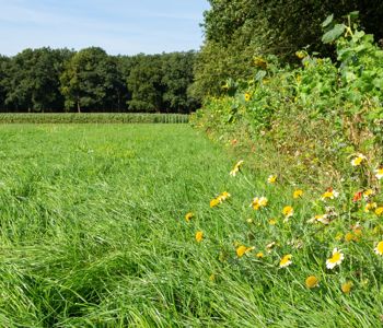 invest-alliance.eu Winter School 2023 - "An Introduction to Nature-Inclusive Agriculture"