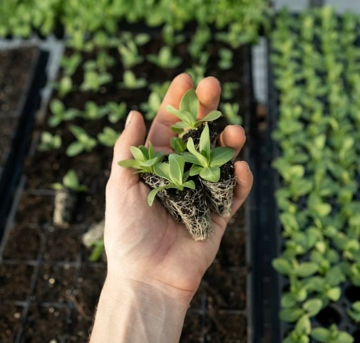 invest-alliance.eu Smart Farming and Resilient Food Systems